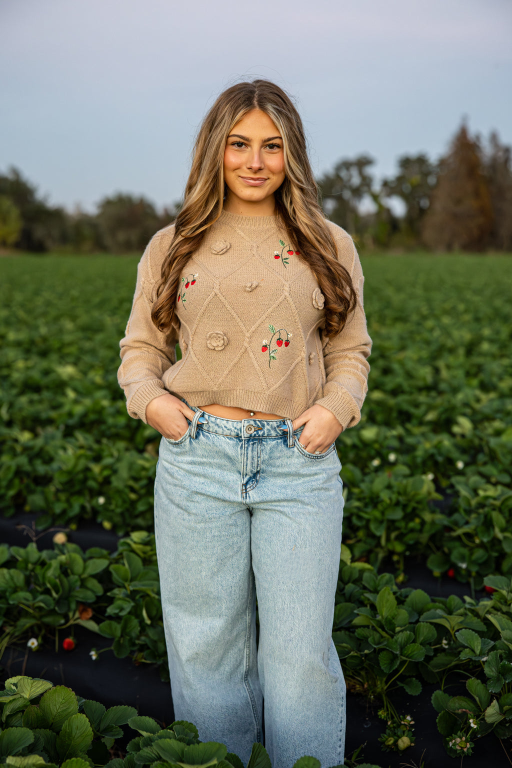 Strawberry Garden Knit Pullover