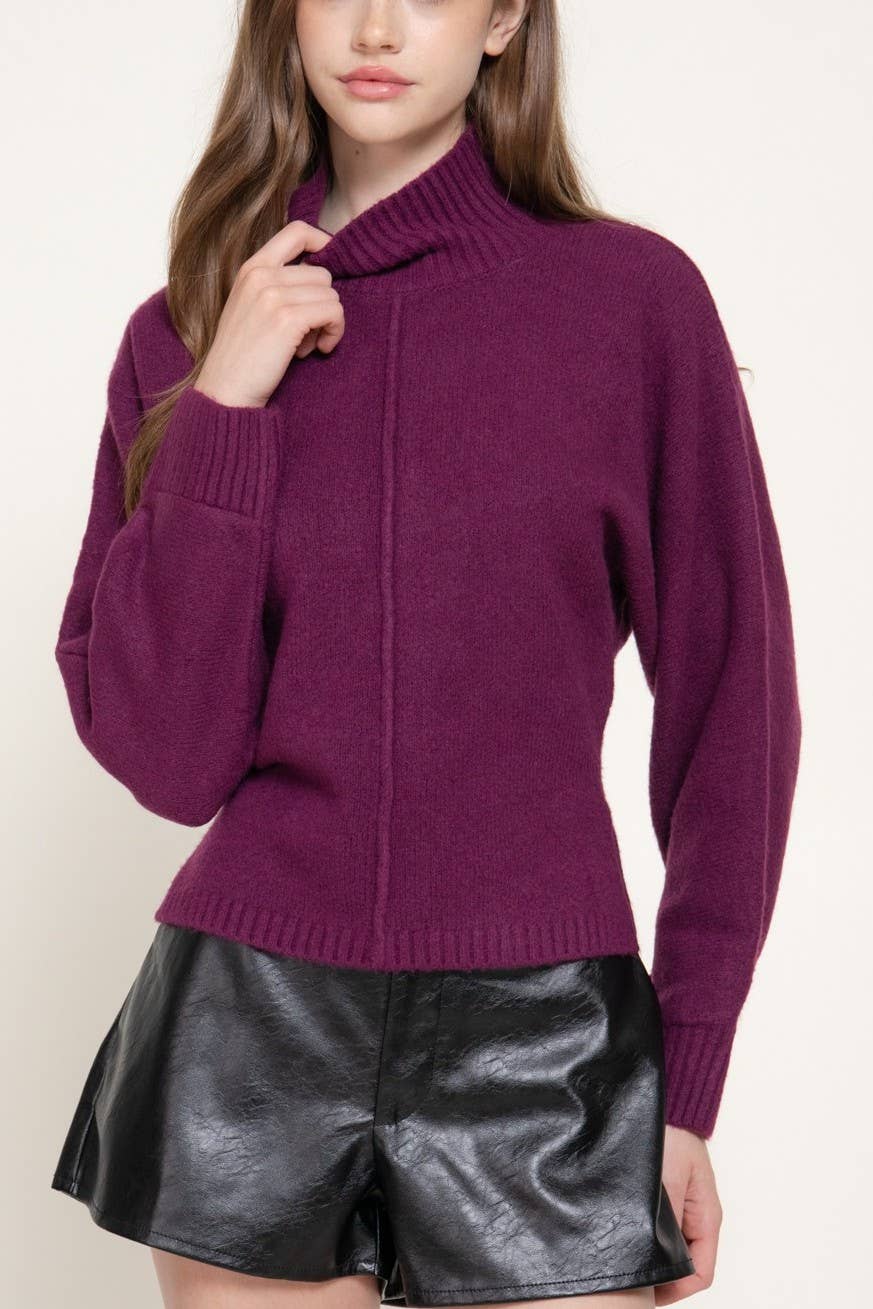 Long Slv High Neck Sweater Top