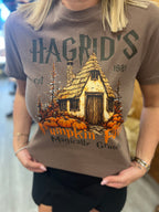 Hagrid’s Pumpkin Farm