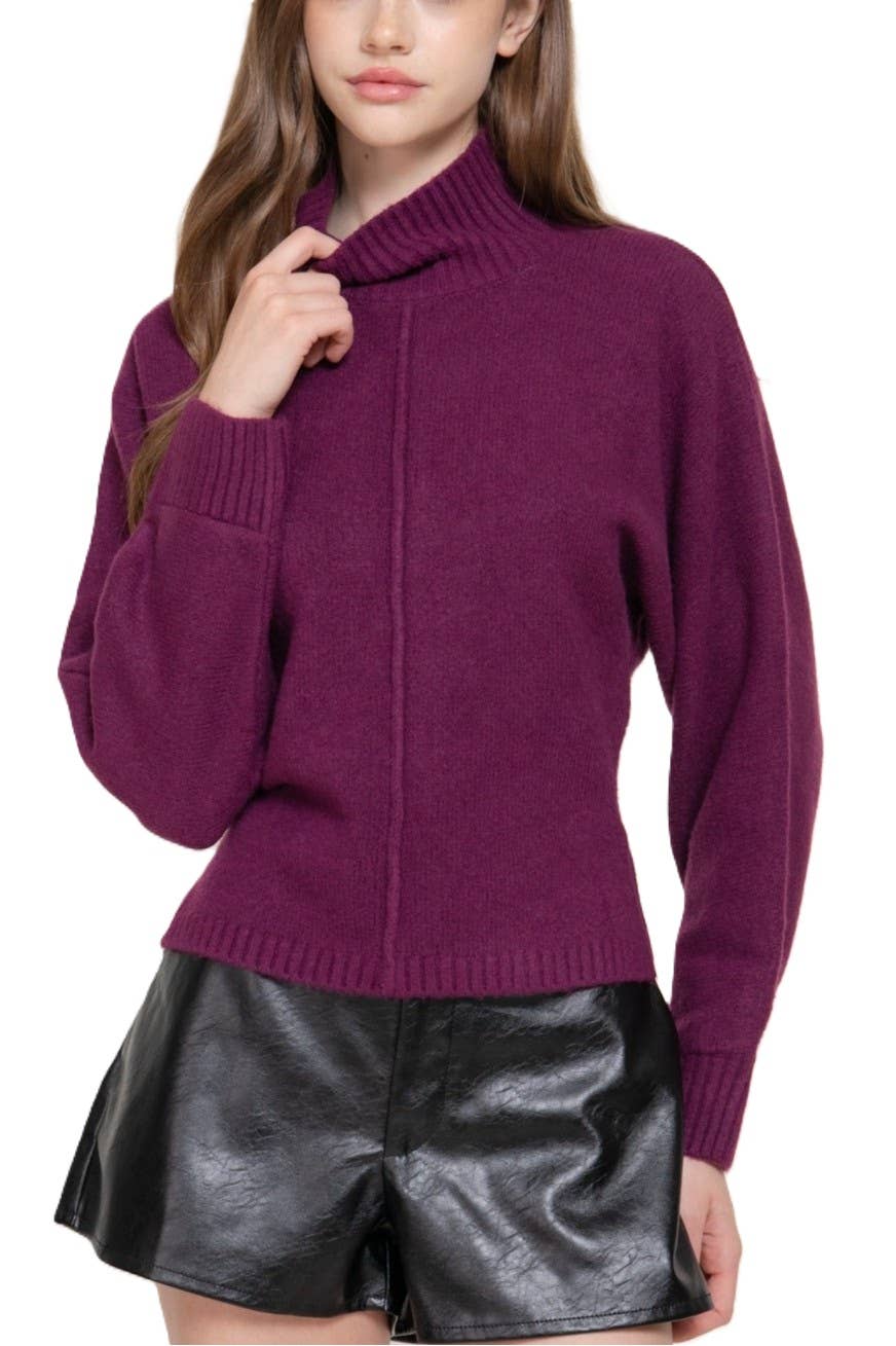 Long Slv High Neck Sweater Top