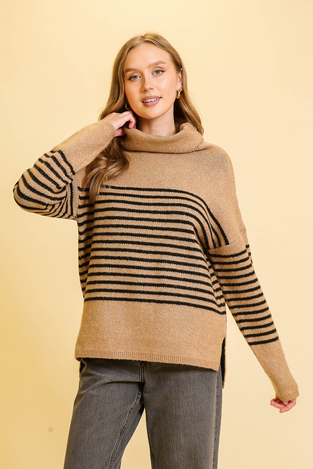 Turtle Neck Striped Sweater