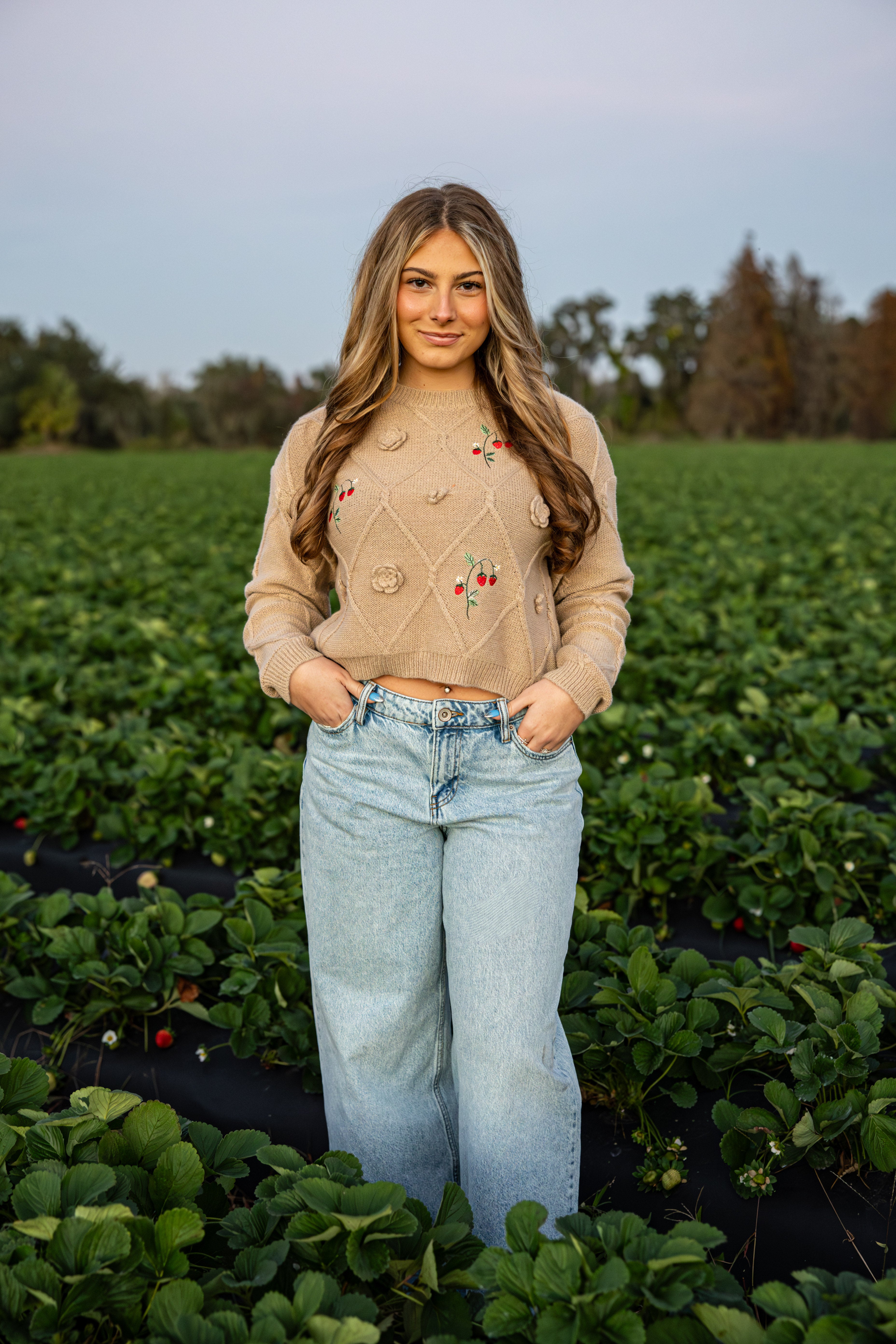 Strawberry Garden Knit Pullover