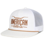 Fest Longhorn Hat