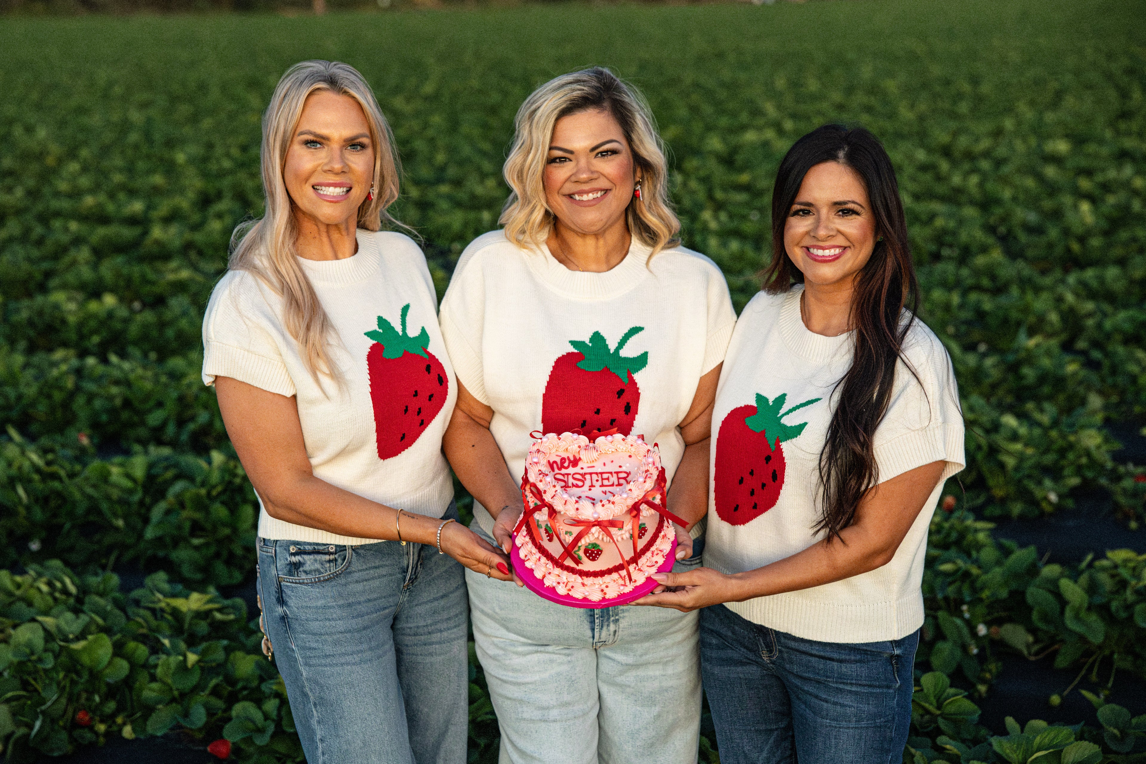 Strawberry Classy Short Sleeve Sweater