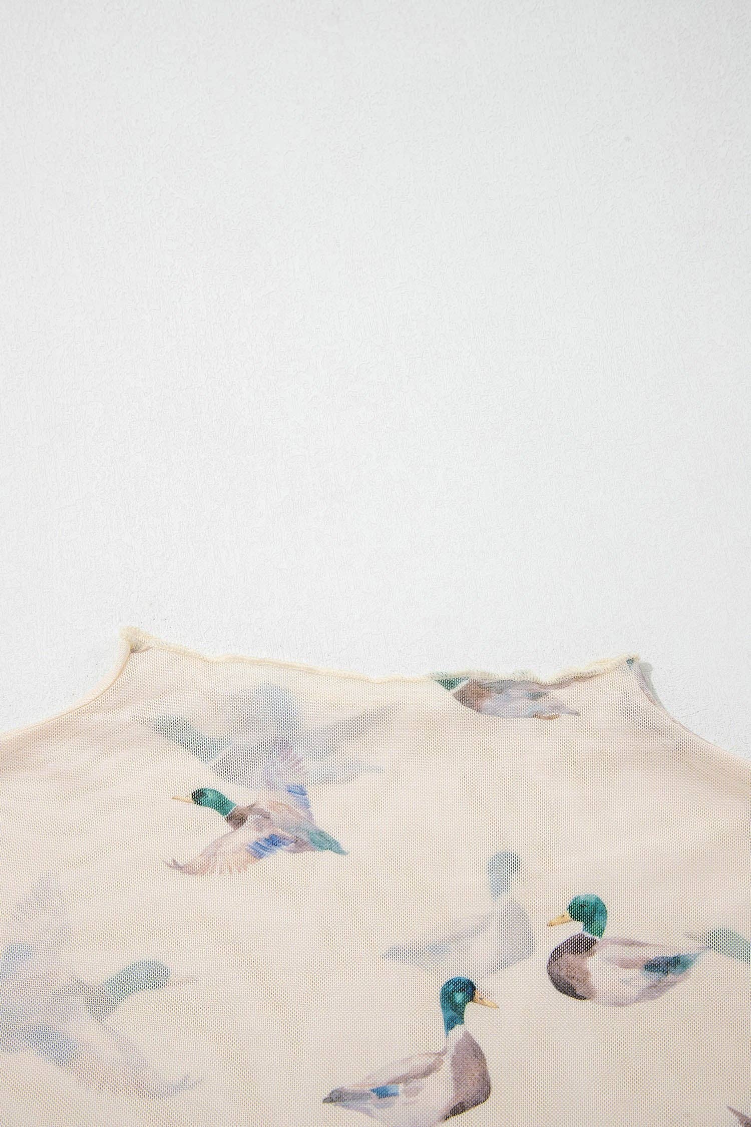 PRETTY BASH Sheer Mallard Mesh Short Sleeve Top