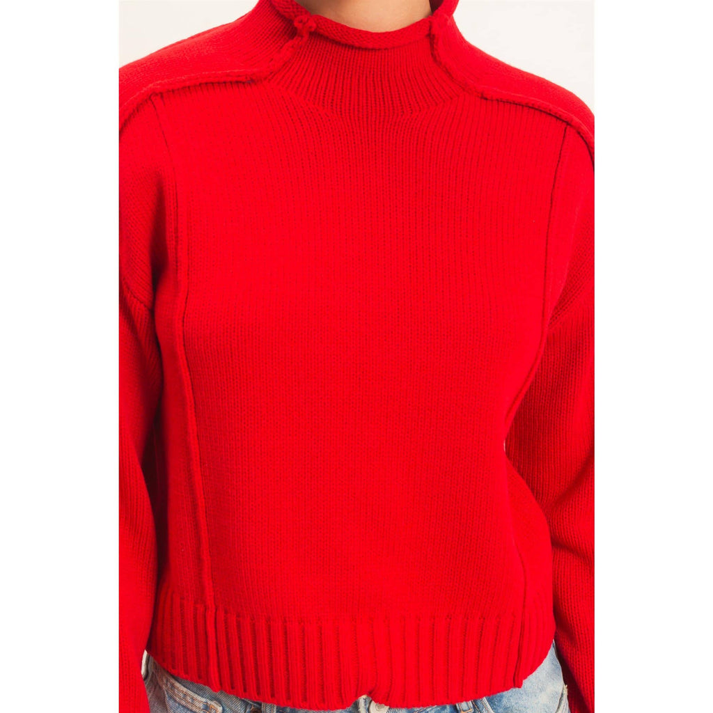 Roll Neck Sweater With Reversed Seam