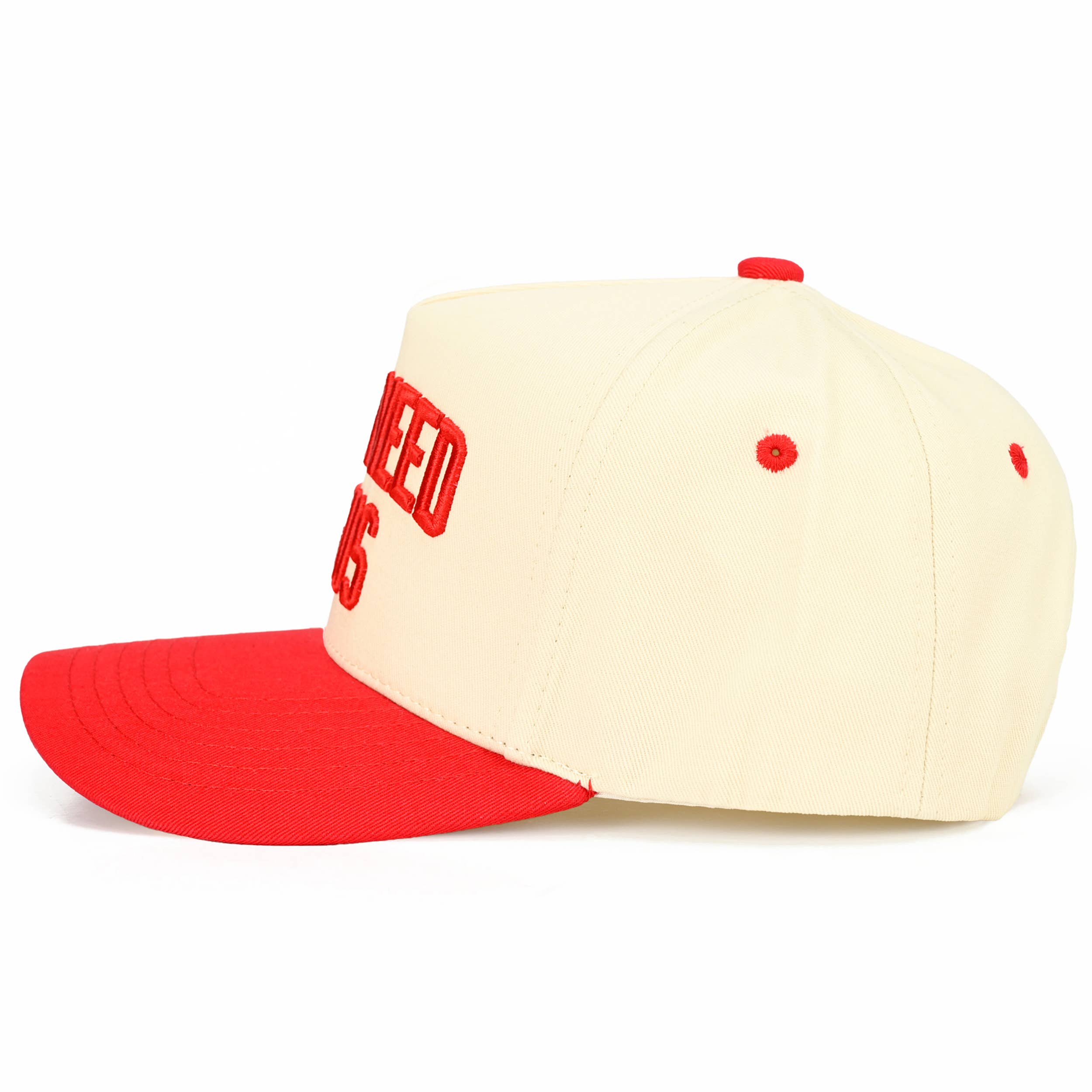 Y'ALL NEED JESUS Embroidered Trucker Hat