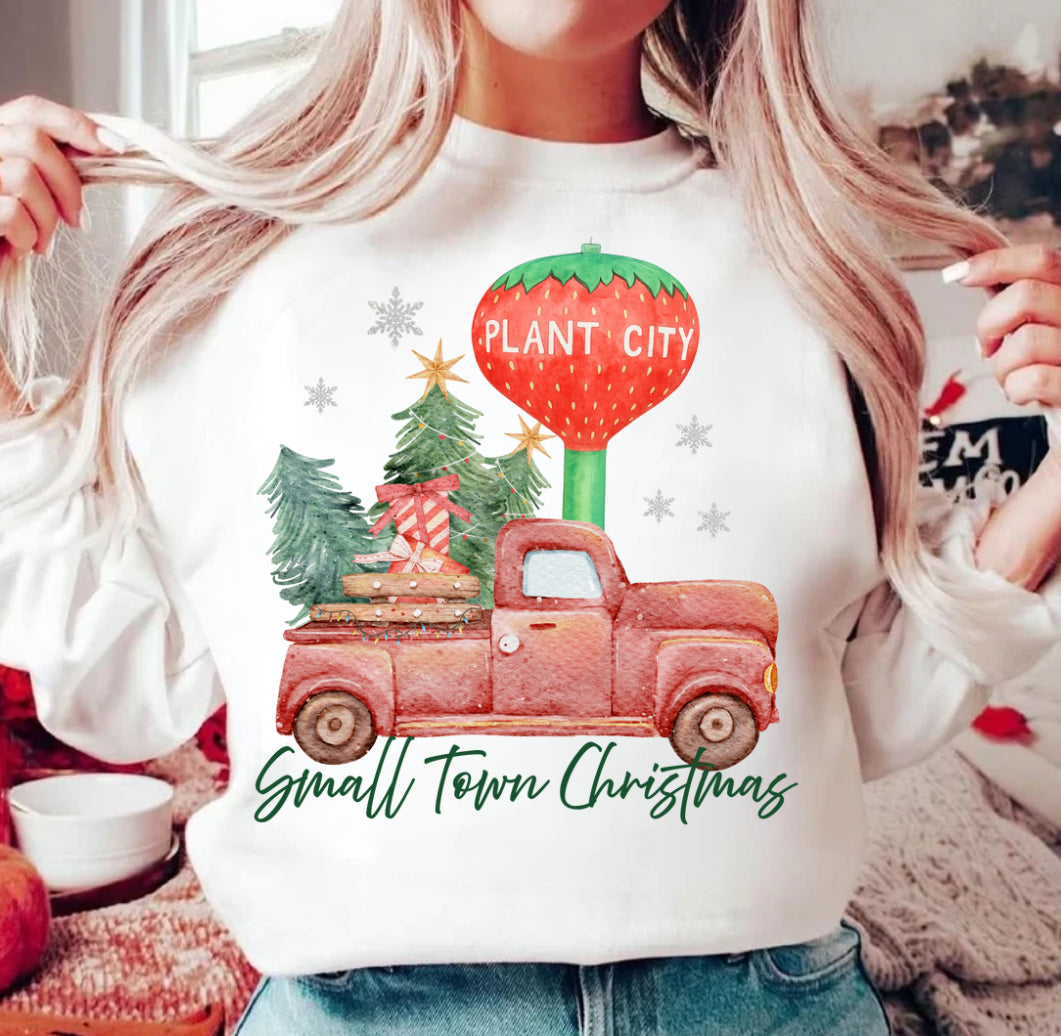 Small Town Christmas