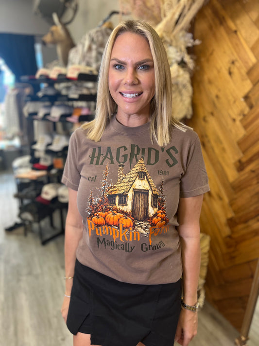 Hagrid’s Pumpkin Farm