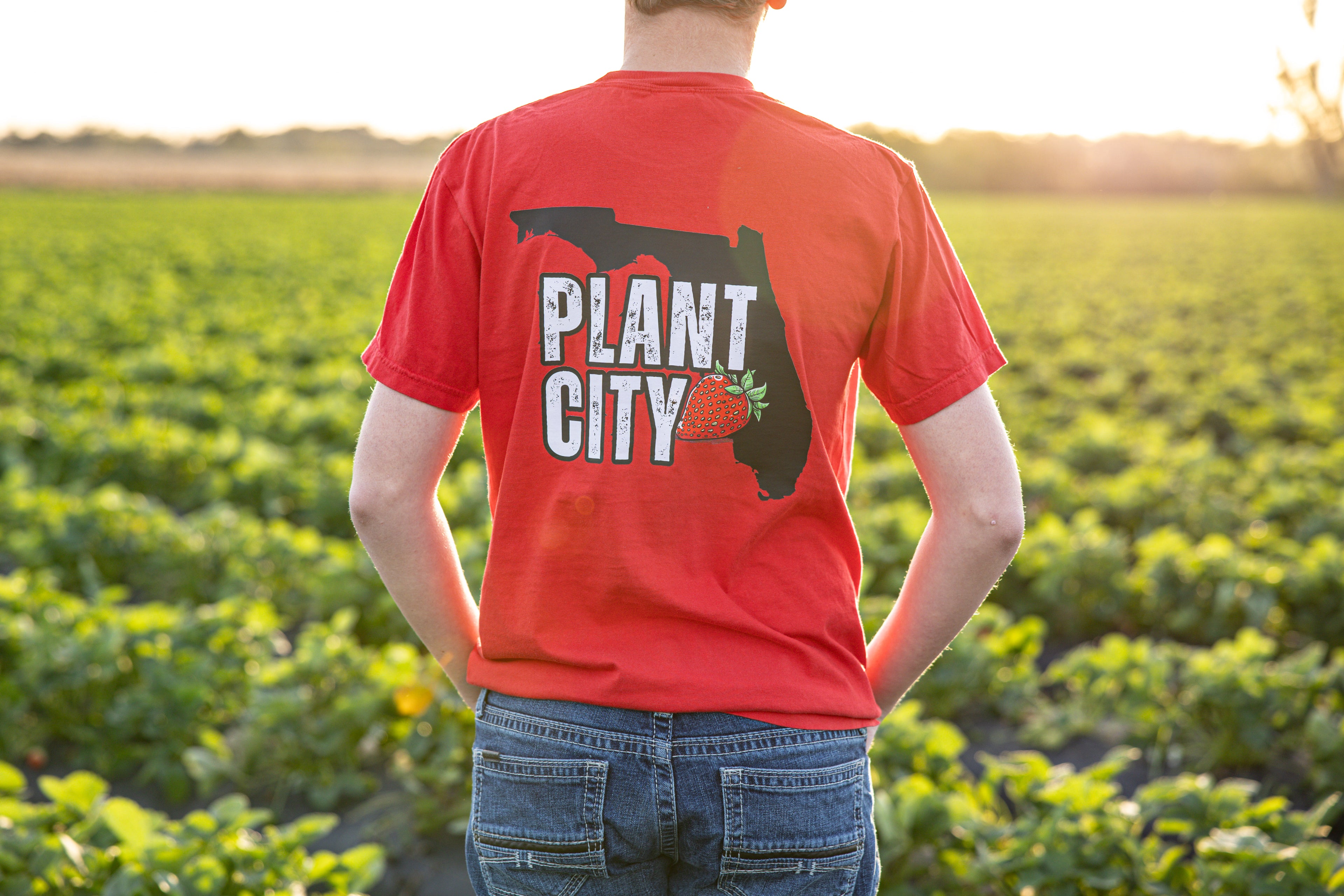 Plant City Florida
