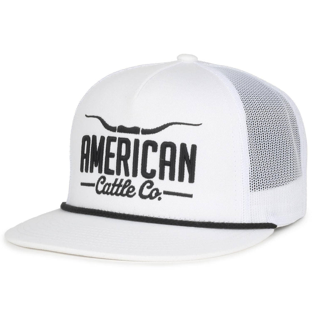 Fest Longhorn Hat