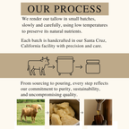 Grass-Fed Tallow & Wild Honey Skin Balm | 2 oz Glass Jar