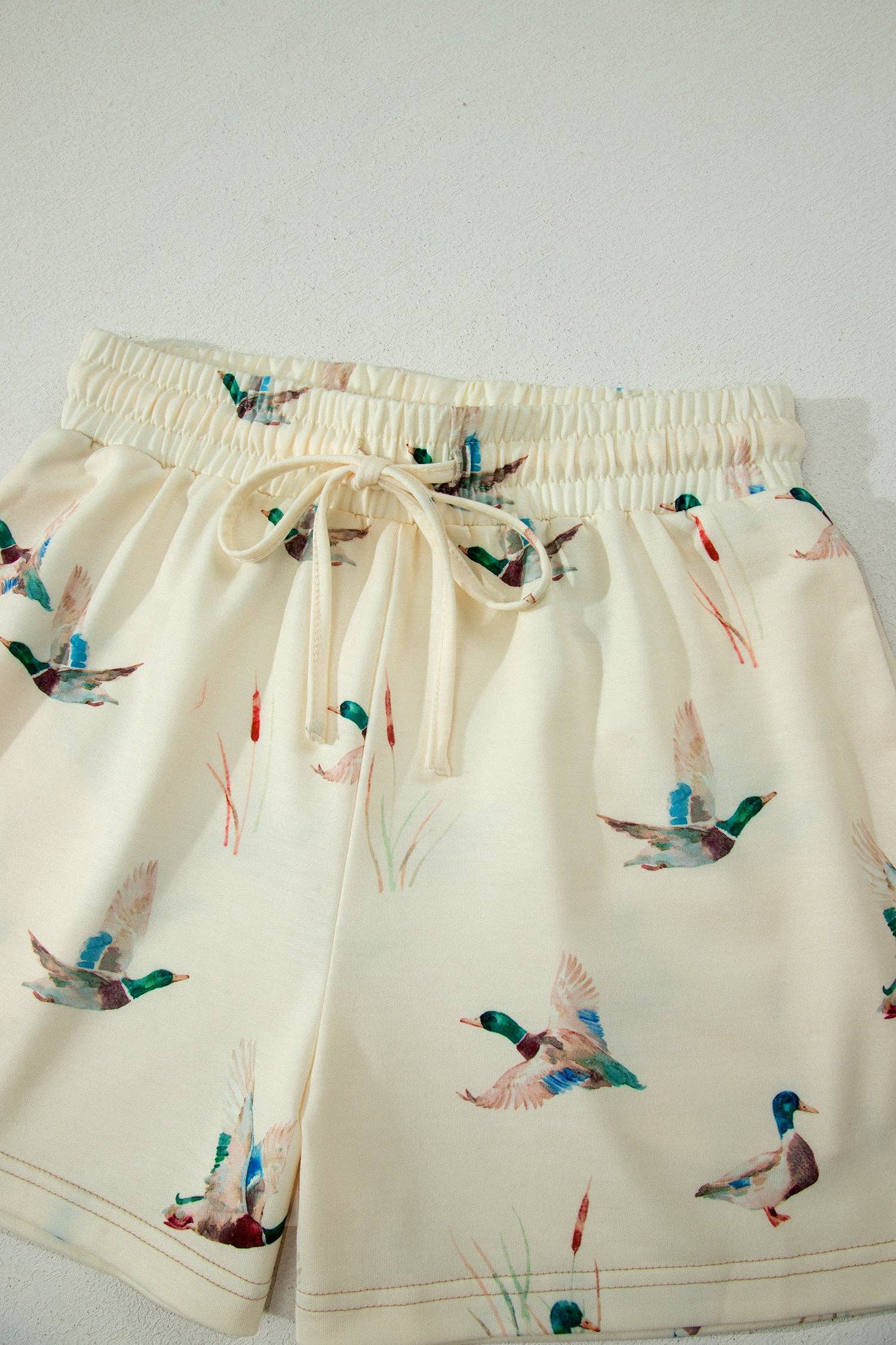 PRETTY BASH Mallard Duck Oversized Tee & Shorts Set