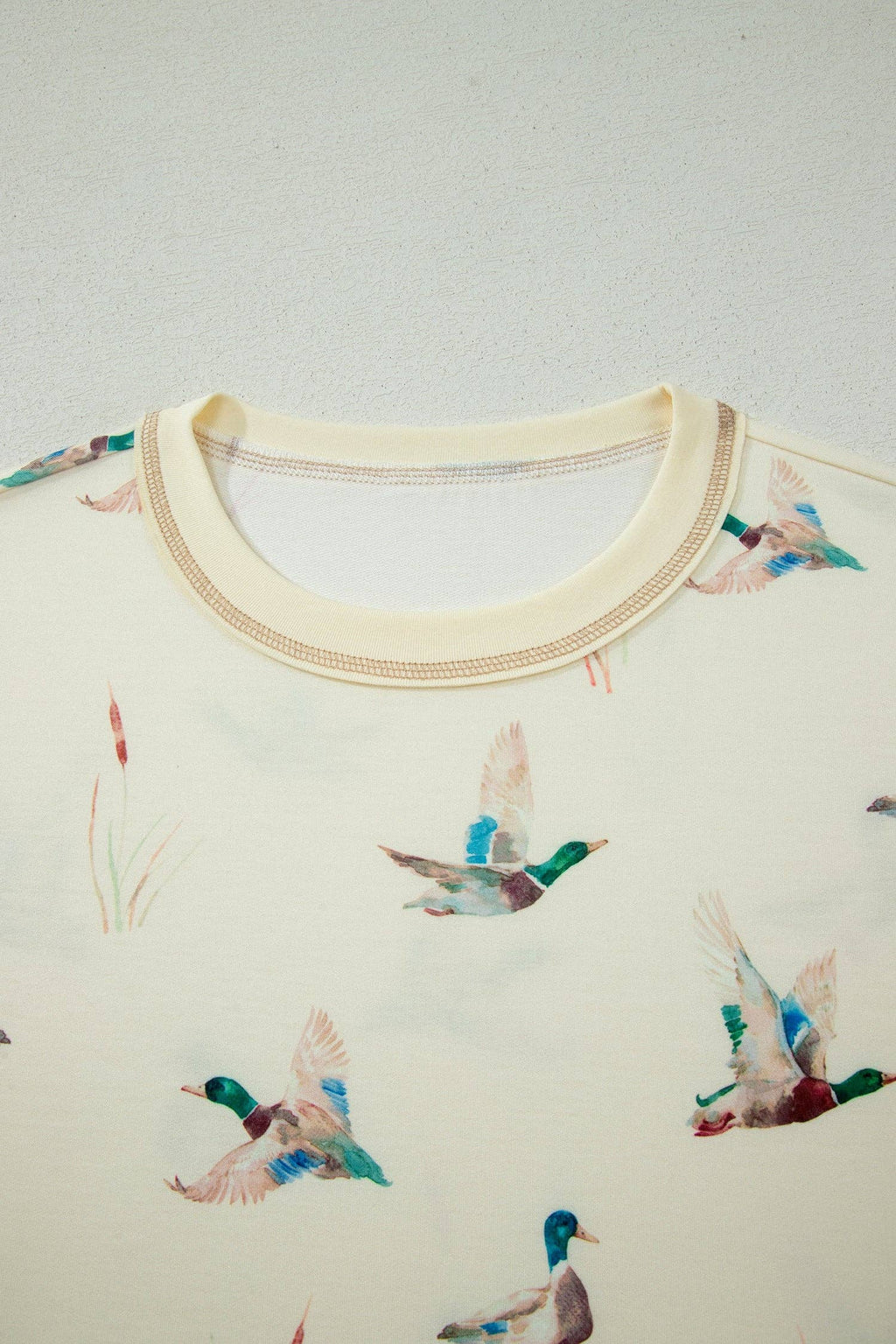 PRETTY BASH Mallard Duck Oversized Tee & Shorts Set