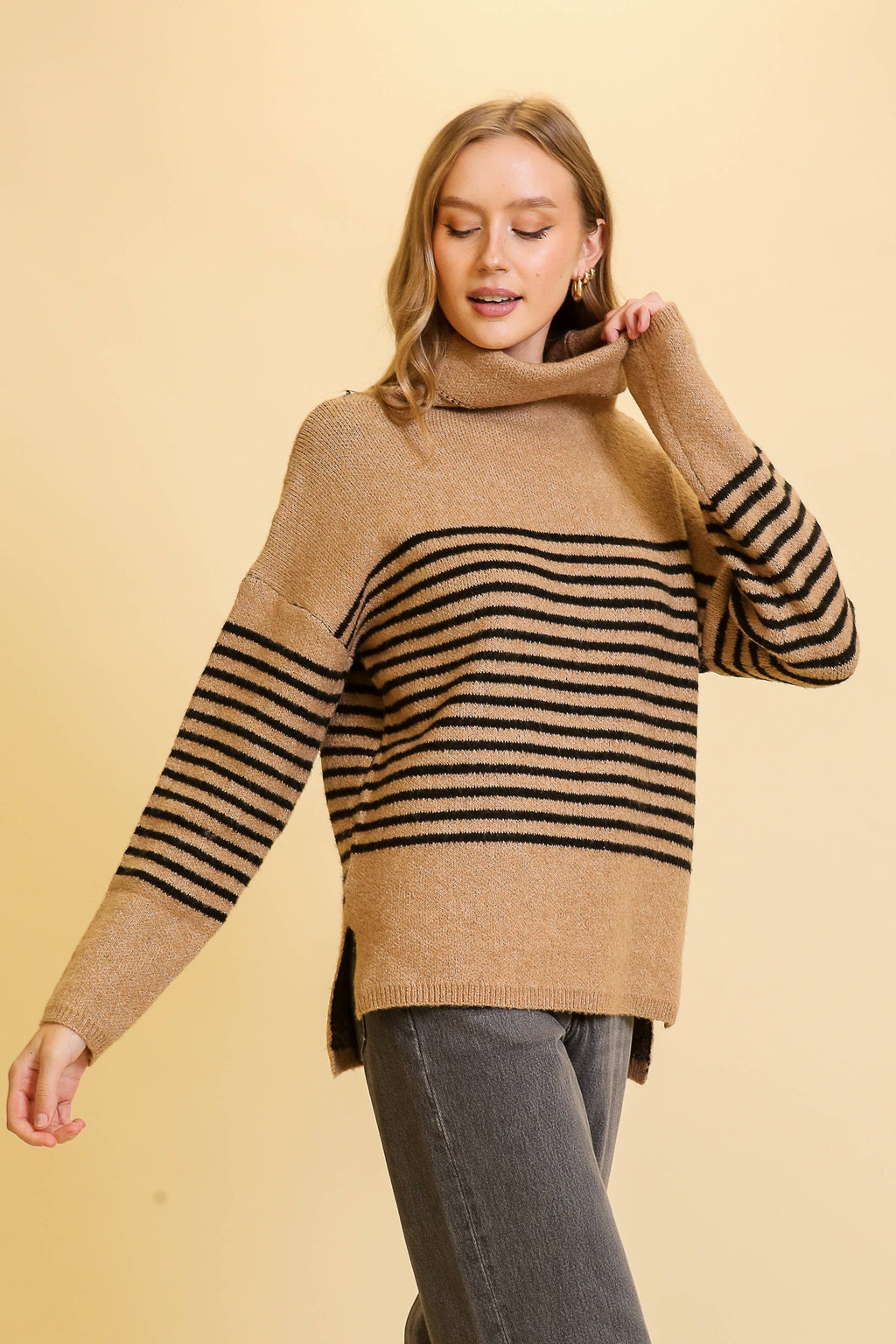 Turtle Neck Striped Sweater