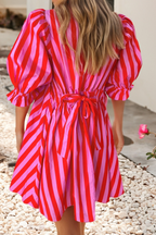 Red + Pink Striped Dress